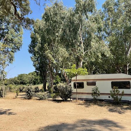 Camping La Baie Des Voiles Villa Porto Vecchio Esterno foto