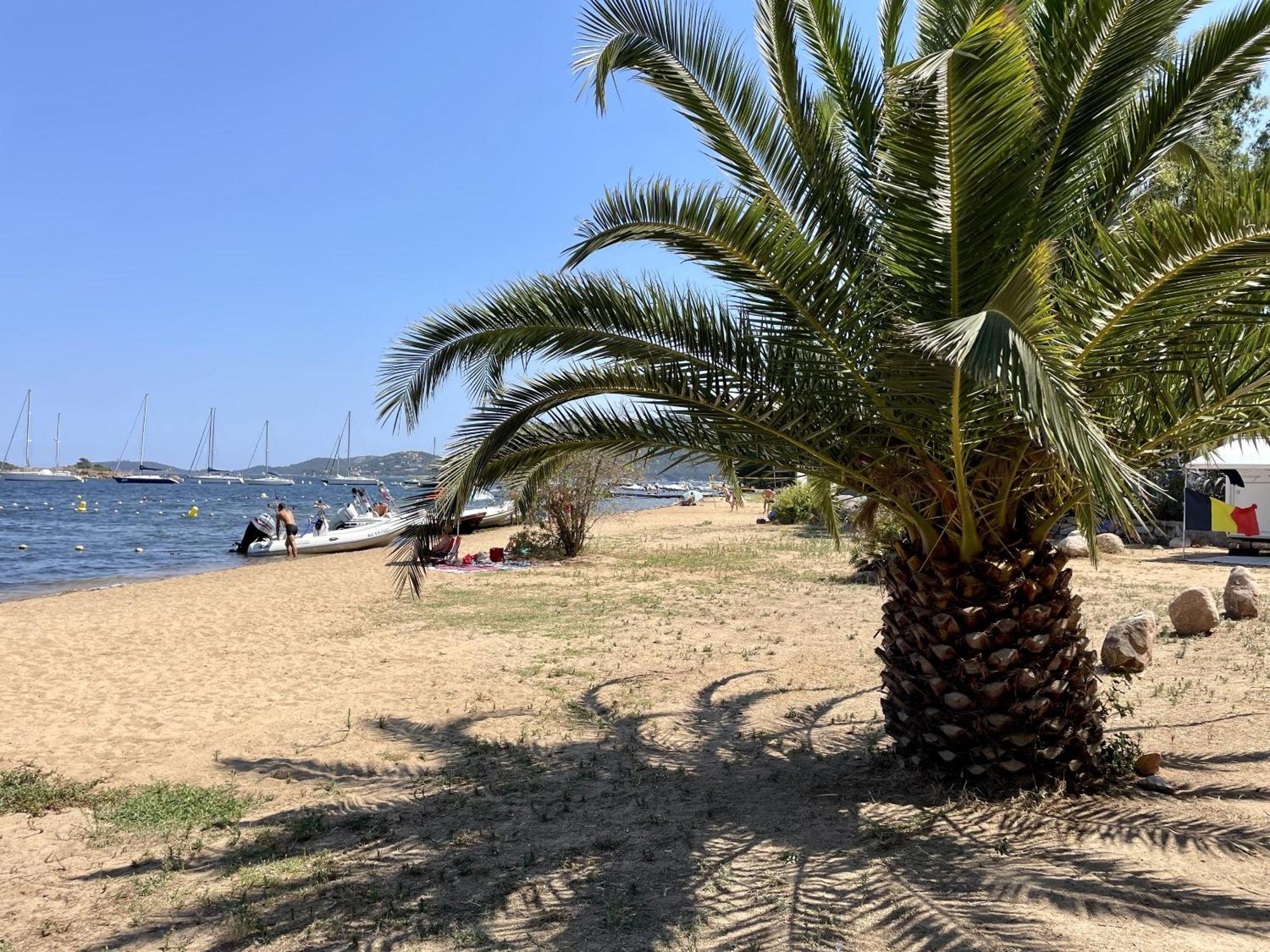 Camping La Baie Des Voiles Villa Porto Vecchio Esterno foto